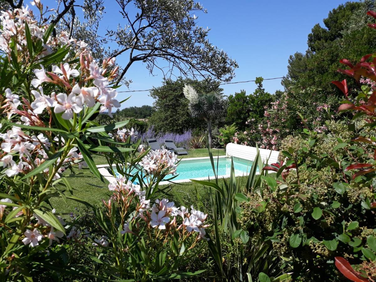 Parfums De Provence "Le Lavandin" Piscine Chauffee & Spa Vaison-la-Romaine Exterior foto